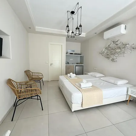 בית הארחה Naxos Oceamo Naxos City