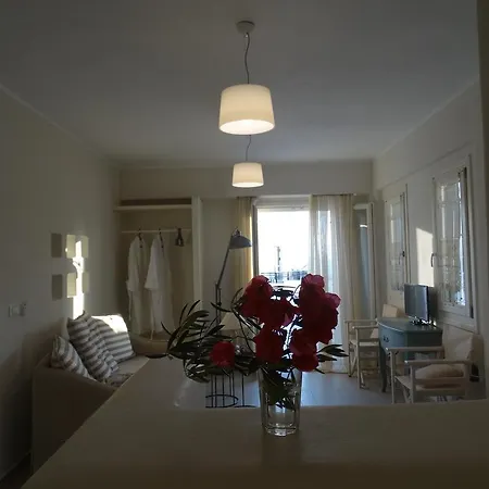 בית הארחה Naxos Oceamo