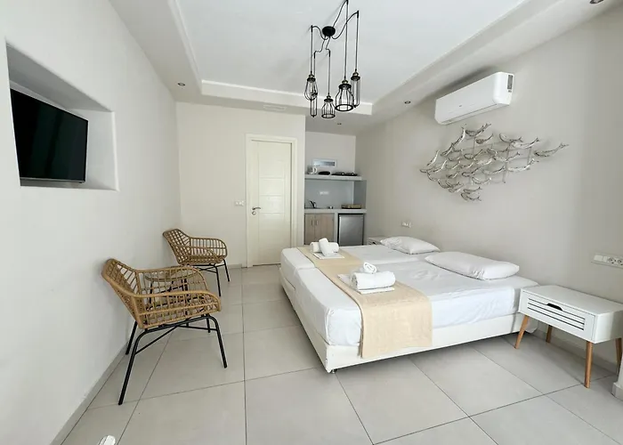 Guest house Naxos Oceamo Naxos City